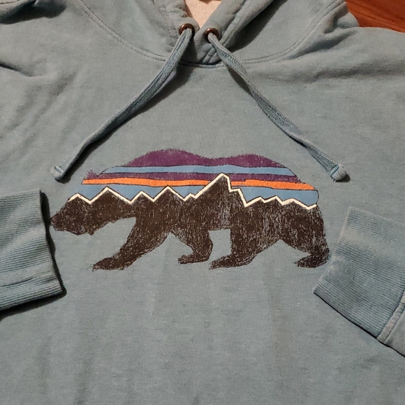 Patagonia Light Blue Hoodie with Bear Graphic - Picture 4 of 10